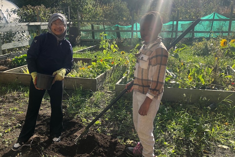 getting your hands dirty allotment